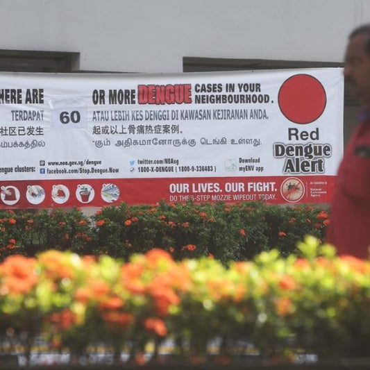 Tool kits to prevent mosquito breeding to be given to about 75,000 landed homes, as dengue cases remain high